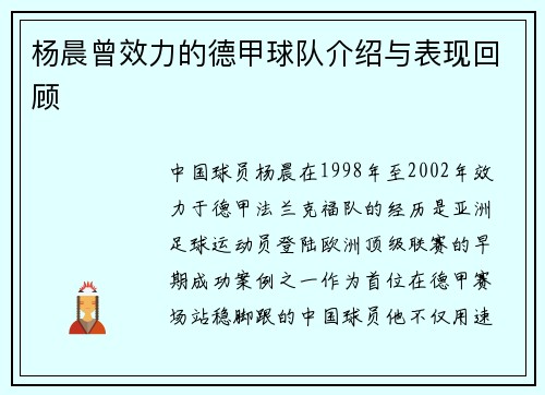 杨晨曾效力的德甲球队介绍与表现回顾